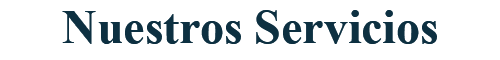 Tesis, nuestros servicios